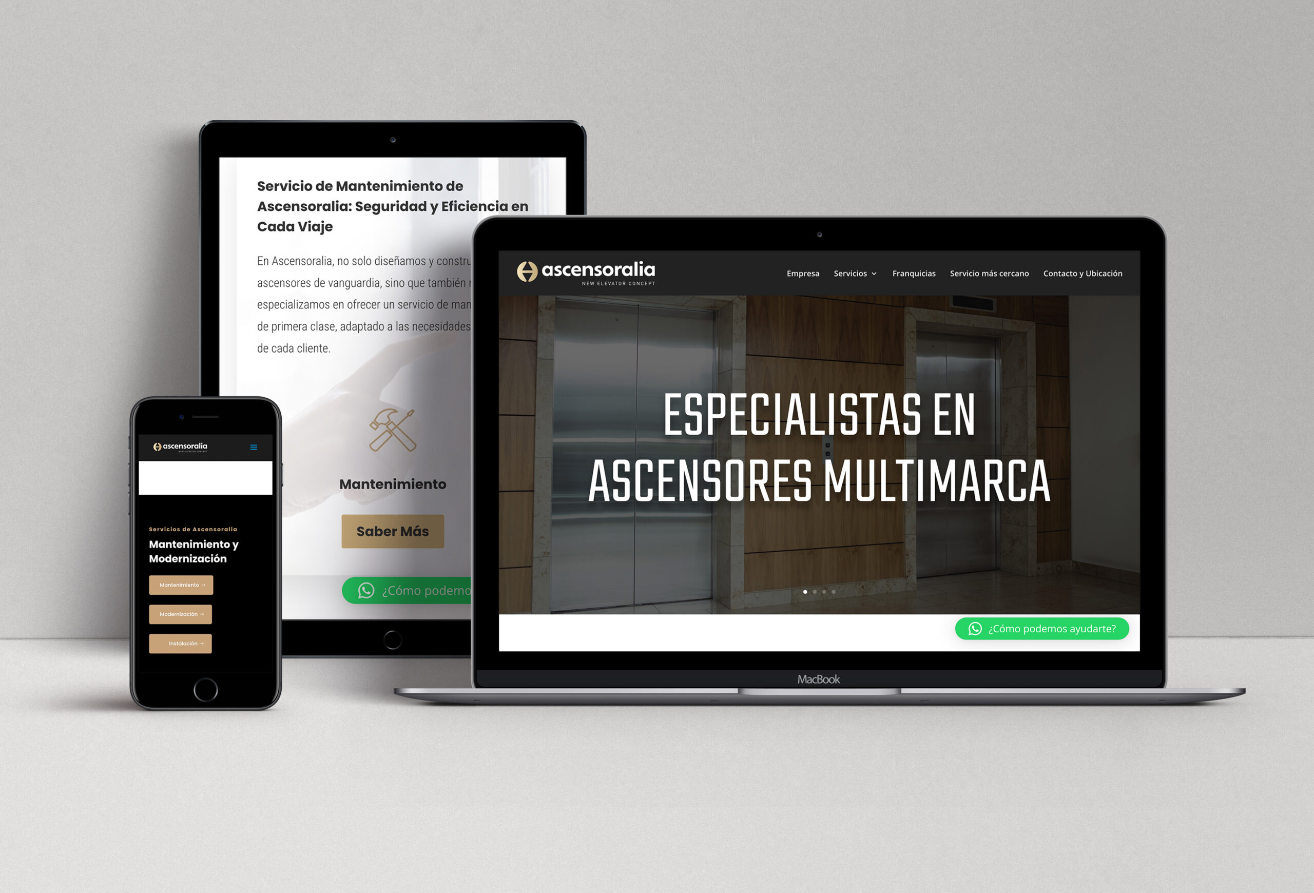 Mock Up. Ascensoralia scaled